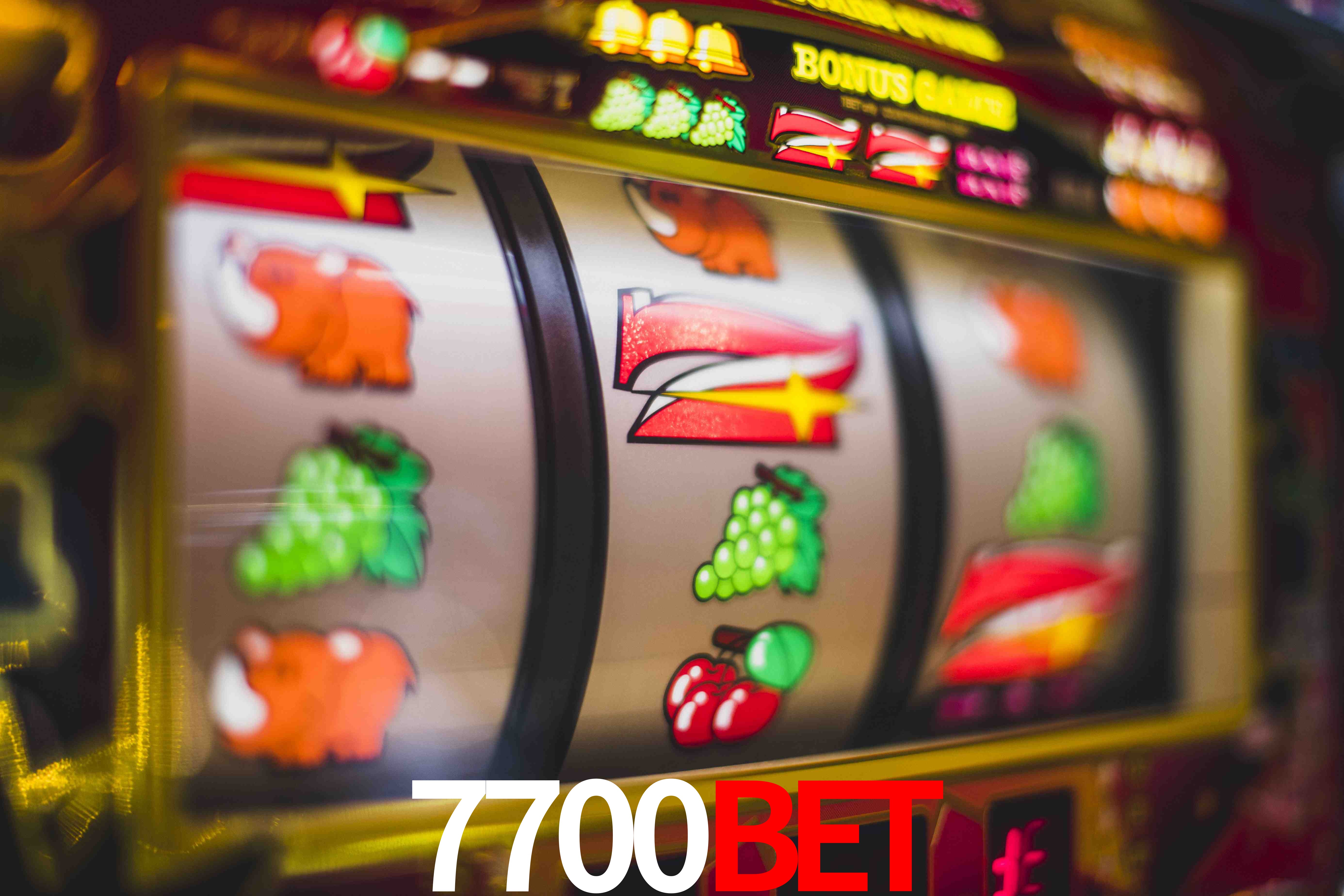Statistics 7700BET